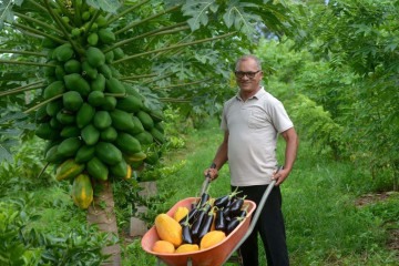 Propriedade no Assentamento Três Conquistas, no Paranoá, produz mamão, limão, couve-flor e couve-manteiga. Modelo orgânico foi implantado no local há cerca de uma ano- Produtor de Mamão e Beringela Jovino Rodrigeus - Assentamento Três Conquistas.  -  (crédito:  Ed Alves/CB/DA.Press)