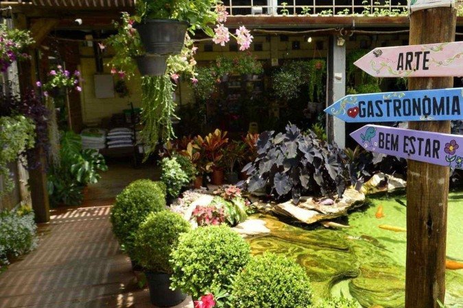  10/01/2025 Crédito: Marcelo Ferreira/CB/D.A Press. Brasil. Brasília - DF - Opcões de lazer em Brasília. Espaço Arueira.