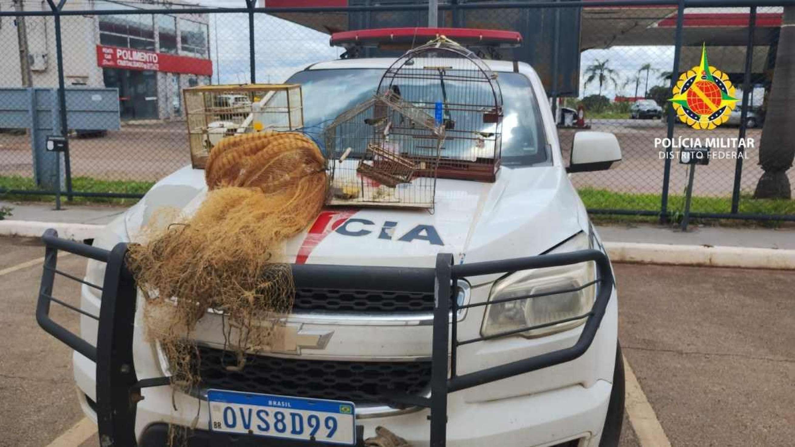 Aves silvestres e material de pesca são apreendidos na Vila Telebrasília