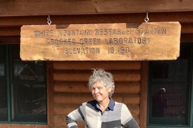 Stephanie Pincetl, professora do Instituto do Meio Ambiente e Sustentabilidade da Universidade da Califórnia (Ucla)

