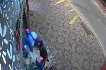 Vídeo: ladrão quebra vitrine e rouba bichos de pelúcia de mais de R$ 2 mil - Reprodução / Circuito de segurança 