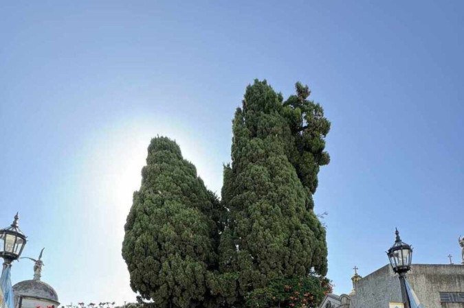 Mesmo sendo um lugar inusitado, o CemitÃ©rio da Recoleta Ã© um dos principais destinos de turistas em Buenos Aires