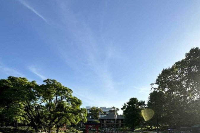 O Jardim Japonês é palco para muitos ensaios e pedidos de casamento em Buenos Aires