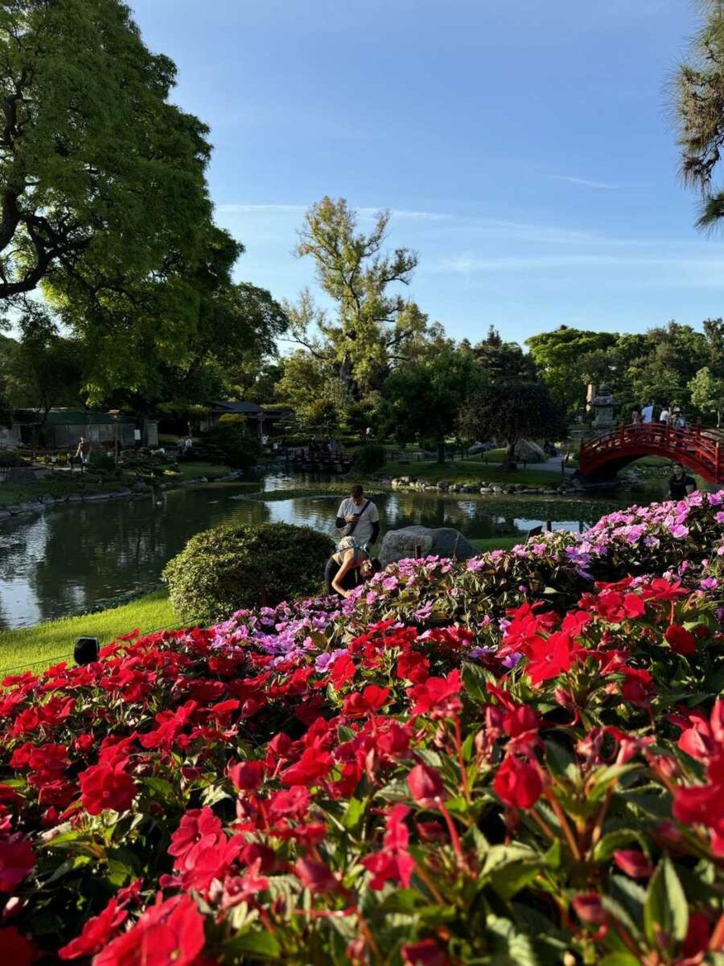 O Jardim Japonês é palco para muitos ensaios e pedidos de casamento em Buenos Aires