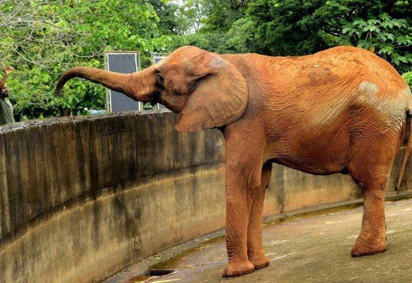  Marcelo Ferreira/CB/D.A Press