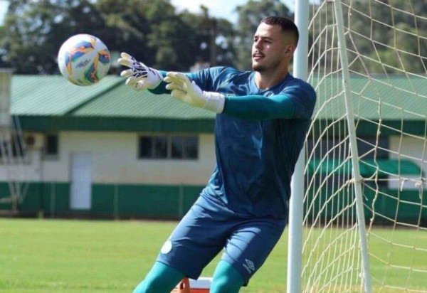 Foto: Divulgação / ACF