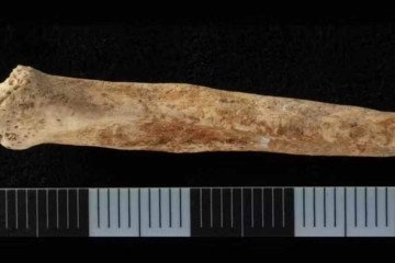 'É uma descoberta única', disse a arqueóloga responsável pela descoberta -  (crédito: Ellen Green/Oxford Journal of Archaeology)