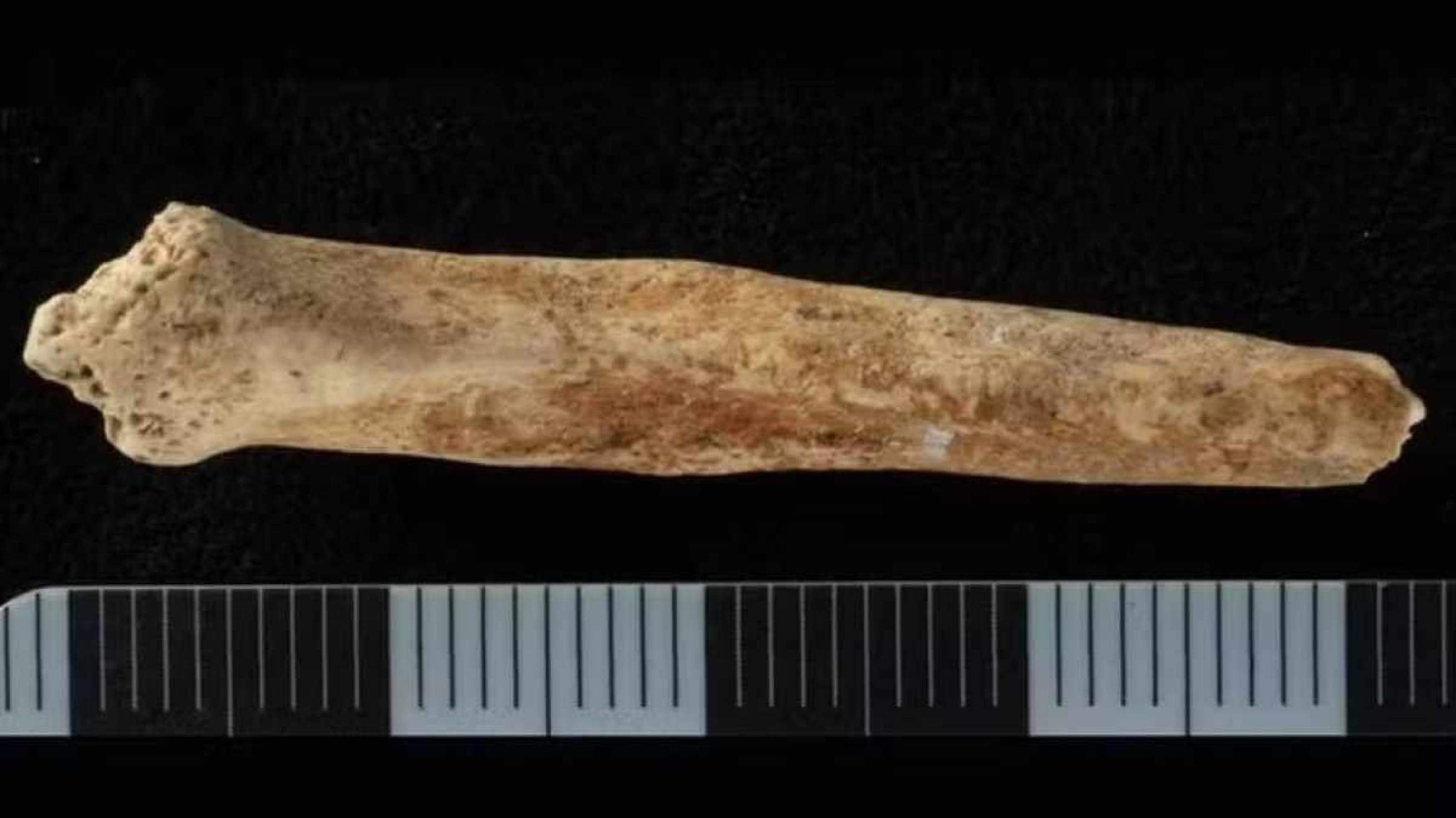 Osso de pênis que foi amuleto de sorte há 2 mil anos é achado na Inglaterra Osso de pênis que foi amuleto de sorte há 2 mil anos é achado na Inglaterra
