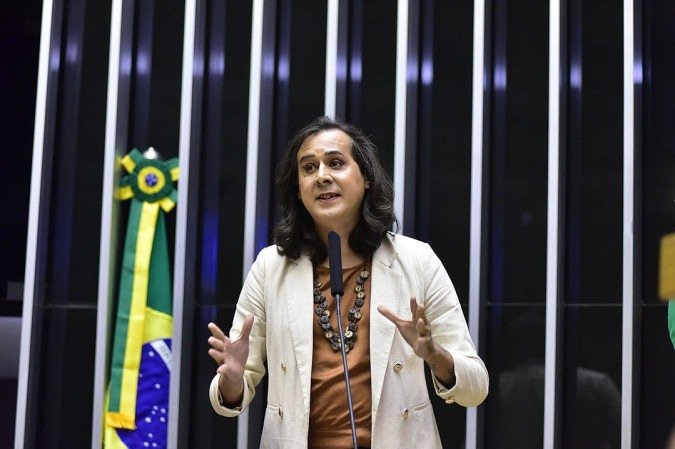 Duda Salabert, deputada federal de Minas Gerais -  (crédito: Zeca Ribeiro/Câmara dos Deputados -)