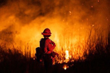 No Brasil, queimadas deixaram rastros de destruição no Cerrado, no Pantanal e na Amazônia em anos recentes -  (crédito: Getty Images)