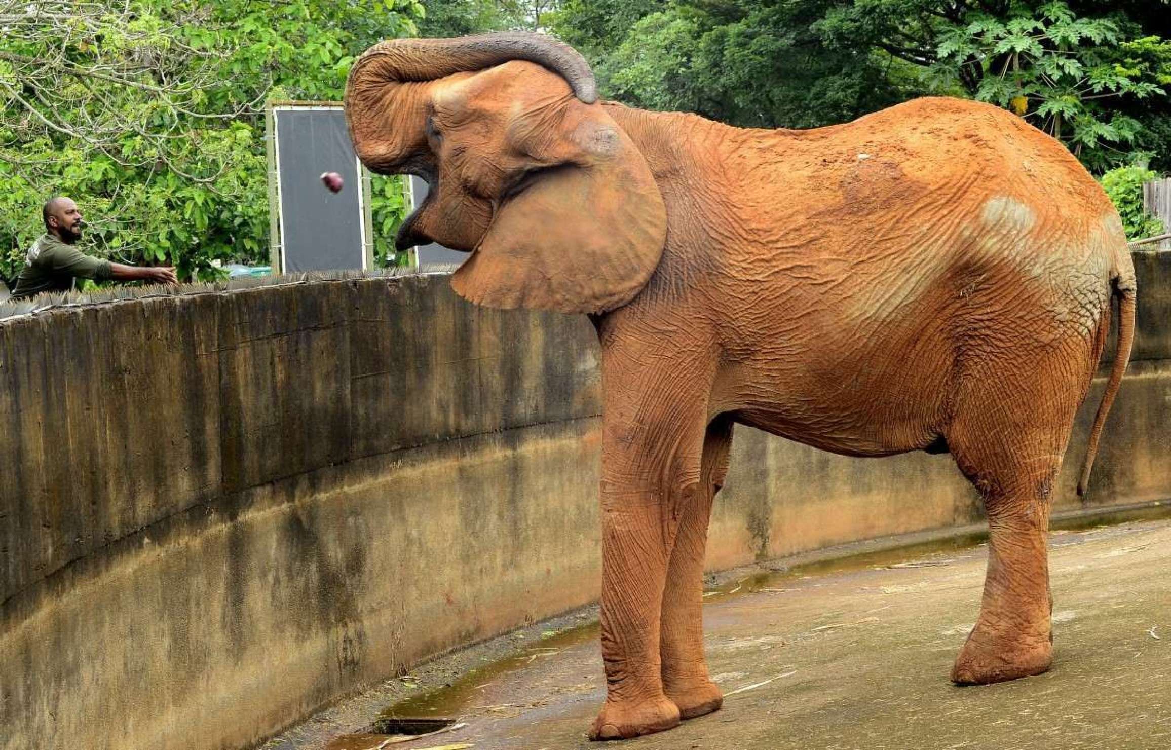 Quase 16 mil visitam o Zoológico e o Jardim Botânico nesse domingo (6/4)