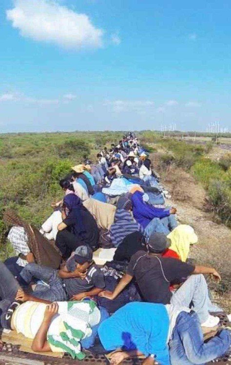 Imigrantes na fronteira do México com os Estados Unidos -  (crédito: Bandeirantes/Divulgacao - CQC )