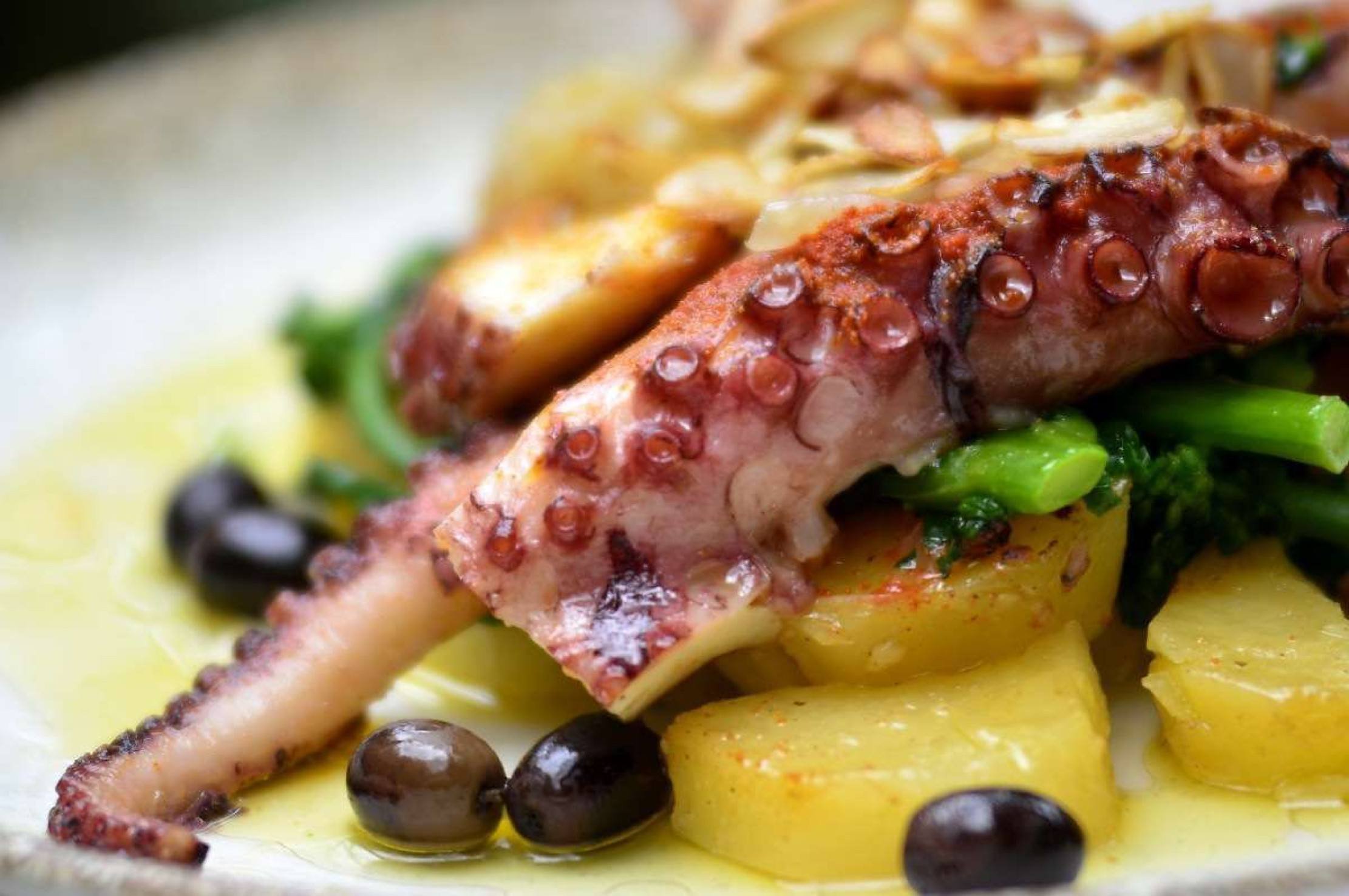 Culinária portuguesa é representada por restaurantes da cidade Culinária portuguesa é representada por restaurantes da cidade