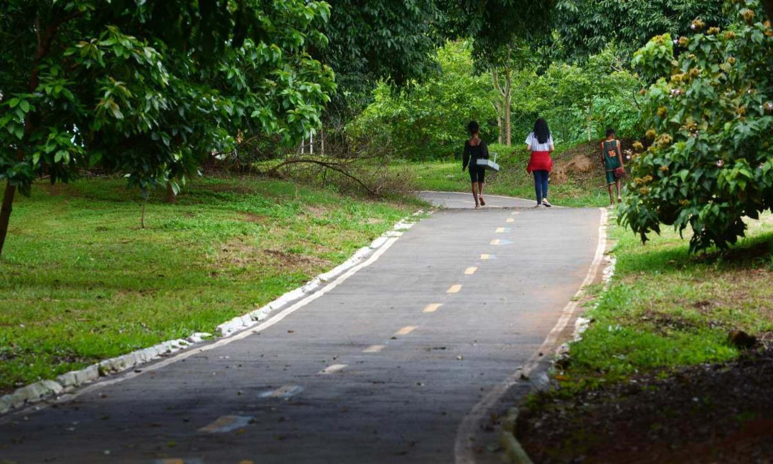  14/01/2025 Credito: Ed Alves/CB/DA.Press. Cidades.Parque Ecologico Veredinha. 