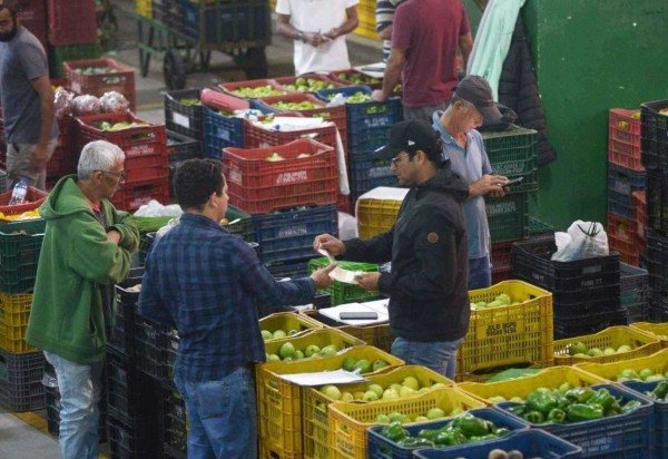 Ed Alves/CB/DA.Press