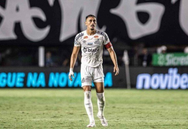 Foto: Raul Baretta/Santos FC