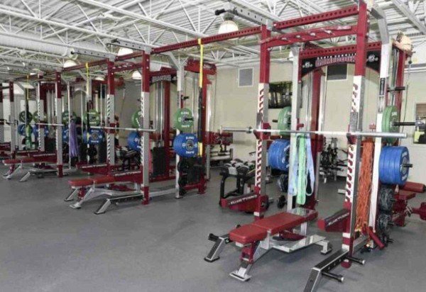 Foto: Divulgação/University of South Carolina