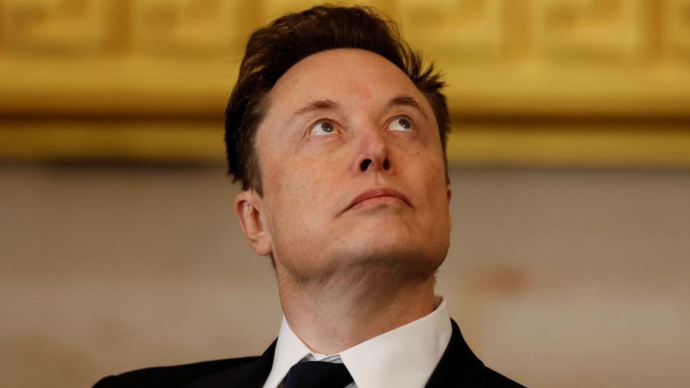 Musk, MrBeast, dono da Oracle: quem vai comprar o TikTok? -  (crédito: BBC Geral)