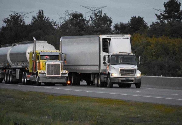 Reprodução/Freepik