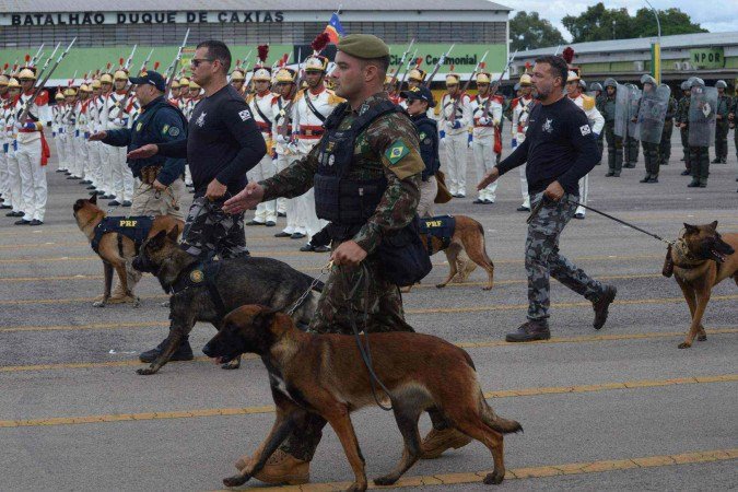 Cerimônia de aposentadoria dos cães policiais no Batalhão da Guarda Presidencial (BGP)
      