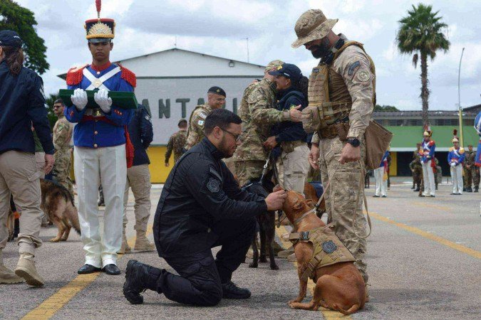  Cerimônia de aposentadoria dos cães policiais no Batalhão da Guarda Presidencial (BGP)