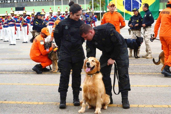 O cão Jimmy, Golden Retriever, que trabalhou durante 4 anos, com seu novo tutor