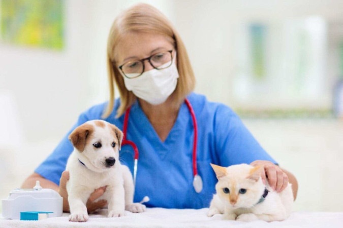 O ciclo de vermifugação recomendado por médicos-veterinários garante a proteção contínua contra parasitas (Imagem: FamVeld | Shutterstock) -  (crédito: EdiCase)