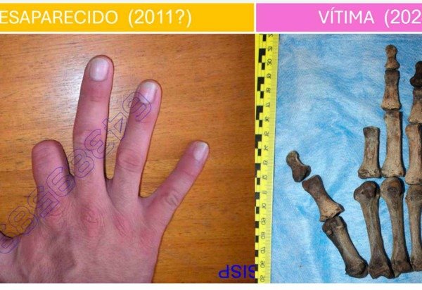 Polícia Científica de Santa Catarina/Divulgação