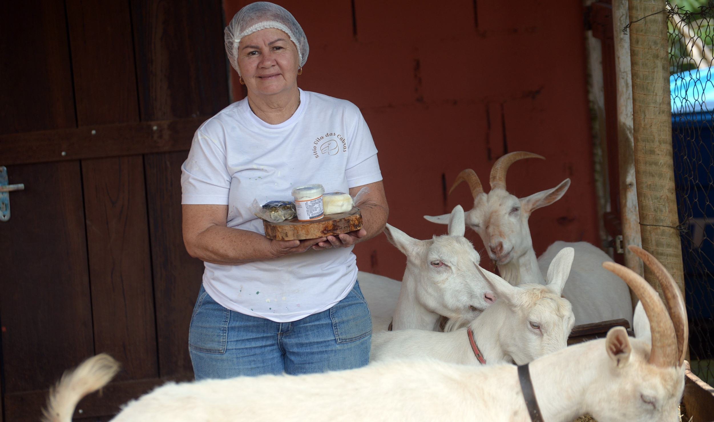  03/02/2025 Credito: Ed Alves/CB/DA.Press. Revista. Especial Queijos. Sitio Vila das Cabras. 