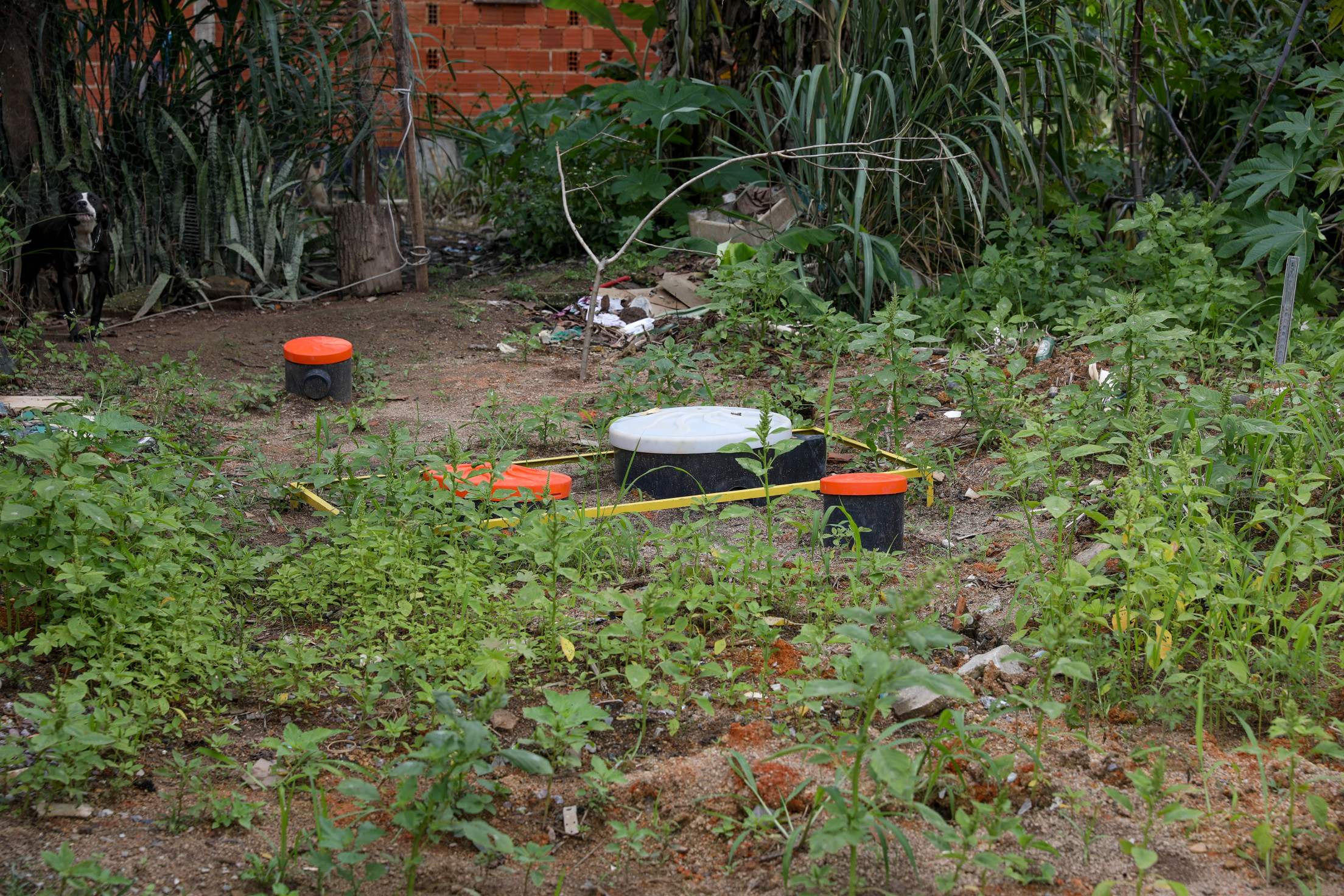 Centenas de famílias rurais terão mais segurança alimentar e hídrica com a chegada de sistemas de tratamento de esgoto doméstico. Em 2025, o Governo do Distrito Federal (GDF), por meio da Empresa de Assistência Técnica e Extensão Rural (Emater), vai investir R$ 5,2 milhões para instalar 545 sistemas, beneficiando diretamente as famílias agrícolas