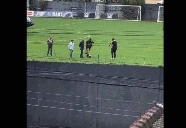 Foto: Reprodução