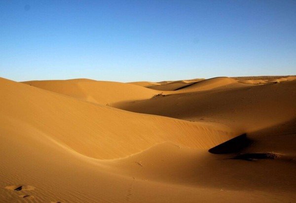 Reprodução/Freepik