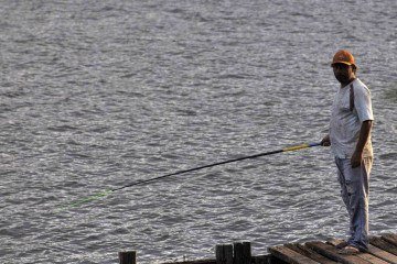 A captura do pirarucu no Lago Paranoá segue proibida no local por até 24 meses; - (crédito: Minervino Júnior/CB/D.A.Press) A captura do pirarucu no Lago Paranoá segue proibida no local por até 24 meses; - (crédito: Minervino Júnior/CB/D.A.Press)