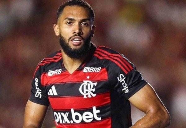 Foto: Gilvan de Souza/Flamengo 