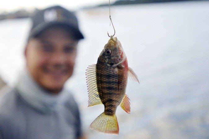 A partir de agora, a concessão do benefício exige o registro biométrico dos beneficiários - (crédito: Minervino Júnior/CB/D.A.Press) A partir de agora, a concessão do benefício exige o registro biométrico dos beneficiários - (crédito: Minervino Júnior/CB/D.A.Press)