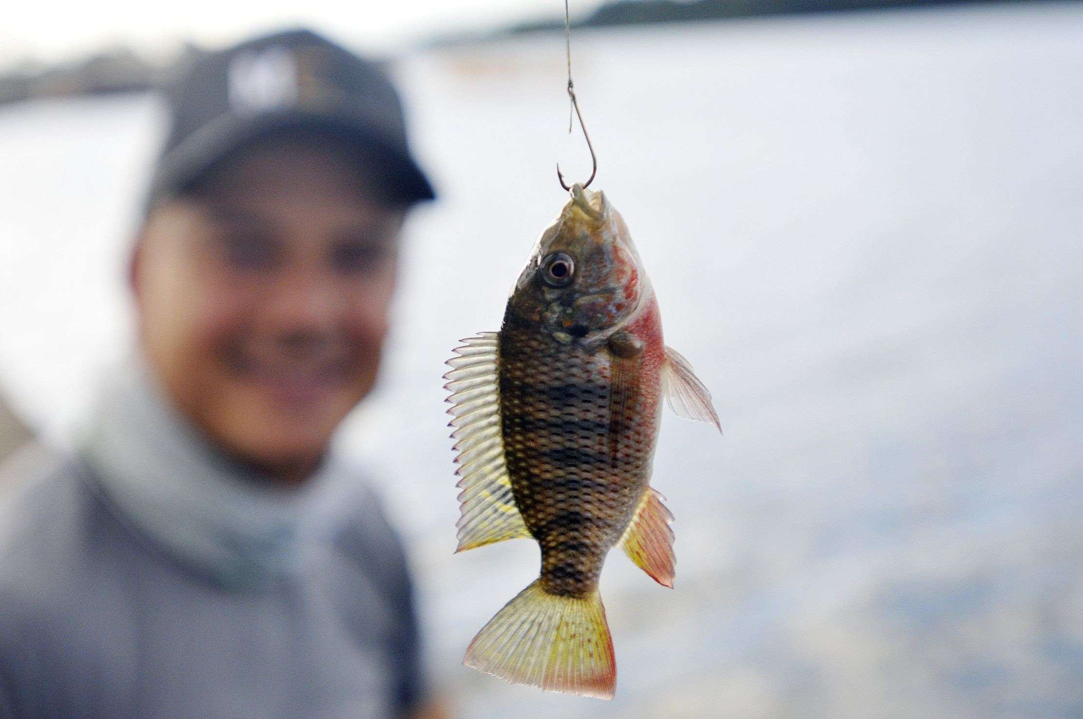 Pequeno peixe fisgado no Deck Norte no Lago Paranoá