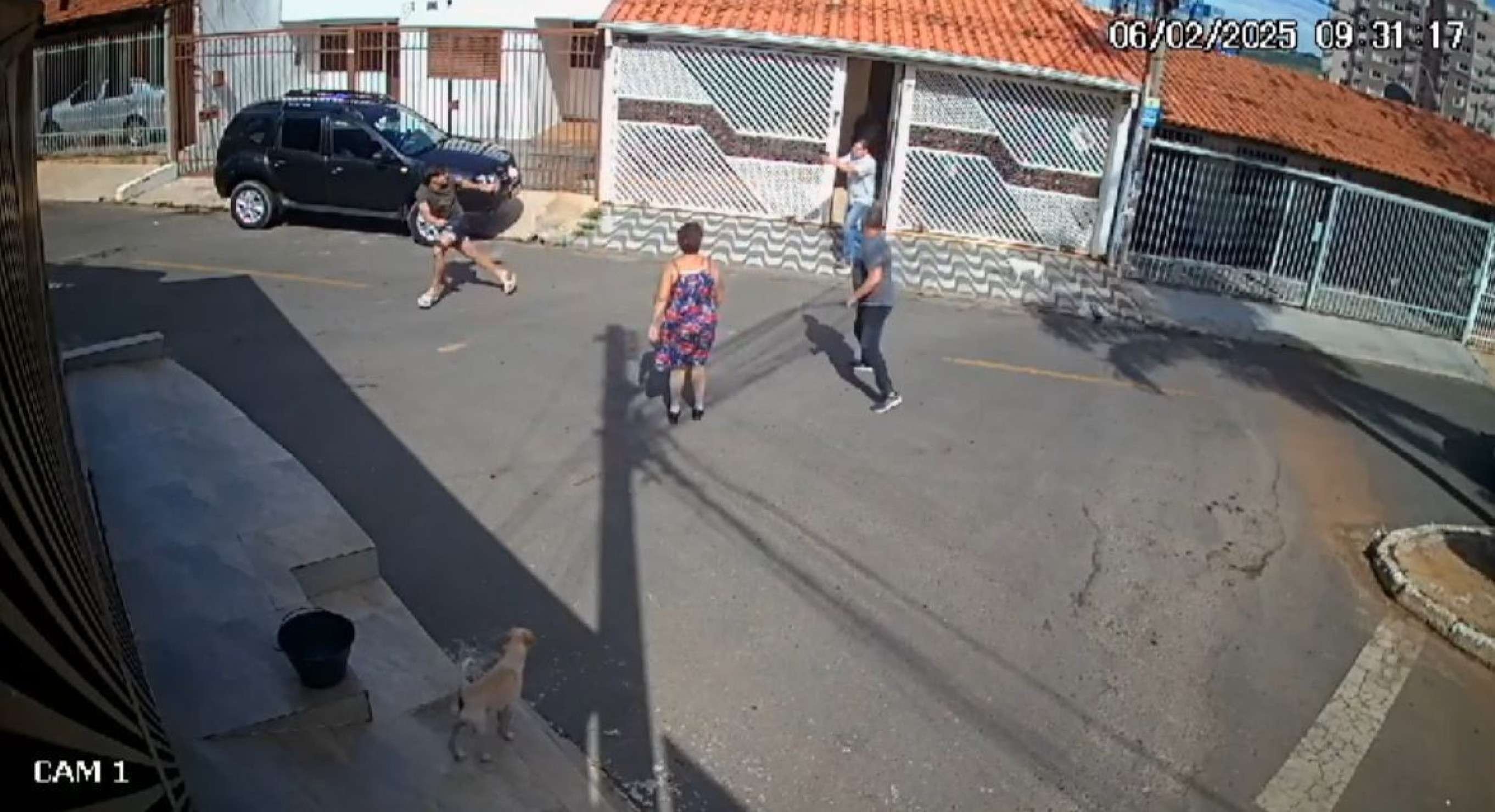Coqueiro da discórdia: briga entre vizinhos começou por vaga na sombra