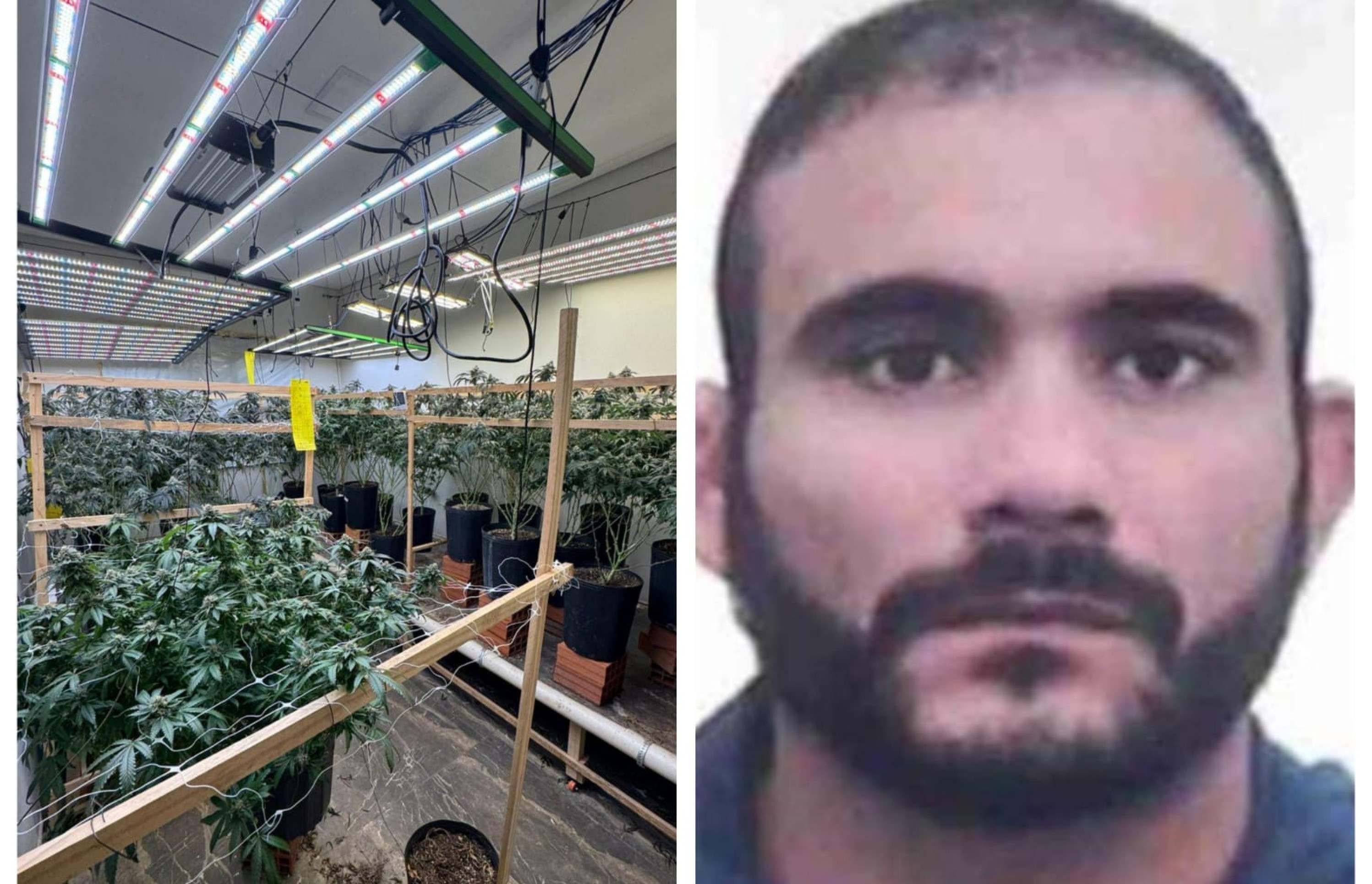 Quem é o traficante dono de laboratório sofisticado de plantações de maconha