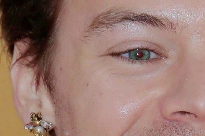 Os brincos de pérolas usados por Harry Styles no MET Gala 2019 fizeram sucesso
