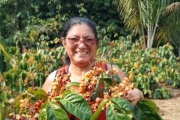 Nazide Bentes e
sua plantação
de guaraná,
fruto típico do
Amazonas
- (crédito: Arquivo pessoal) Nazide Bentes e
sua plantação
de guaraná,
fruto típico do
Amazonas
- (crédito: Arquivo pessoal)