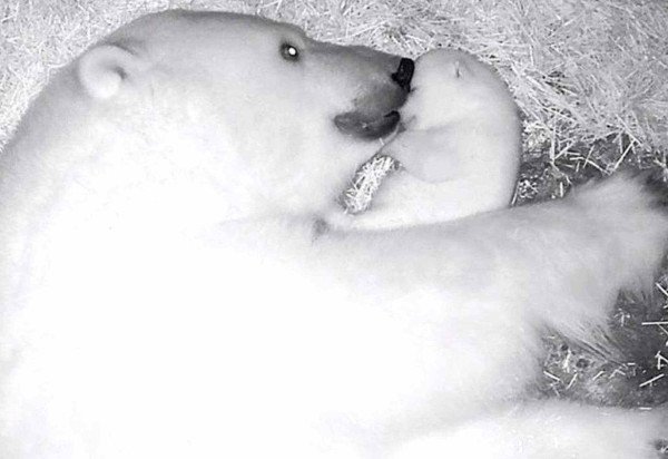 Aquário de São Paulo