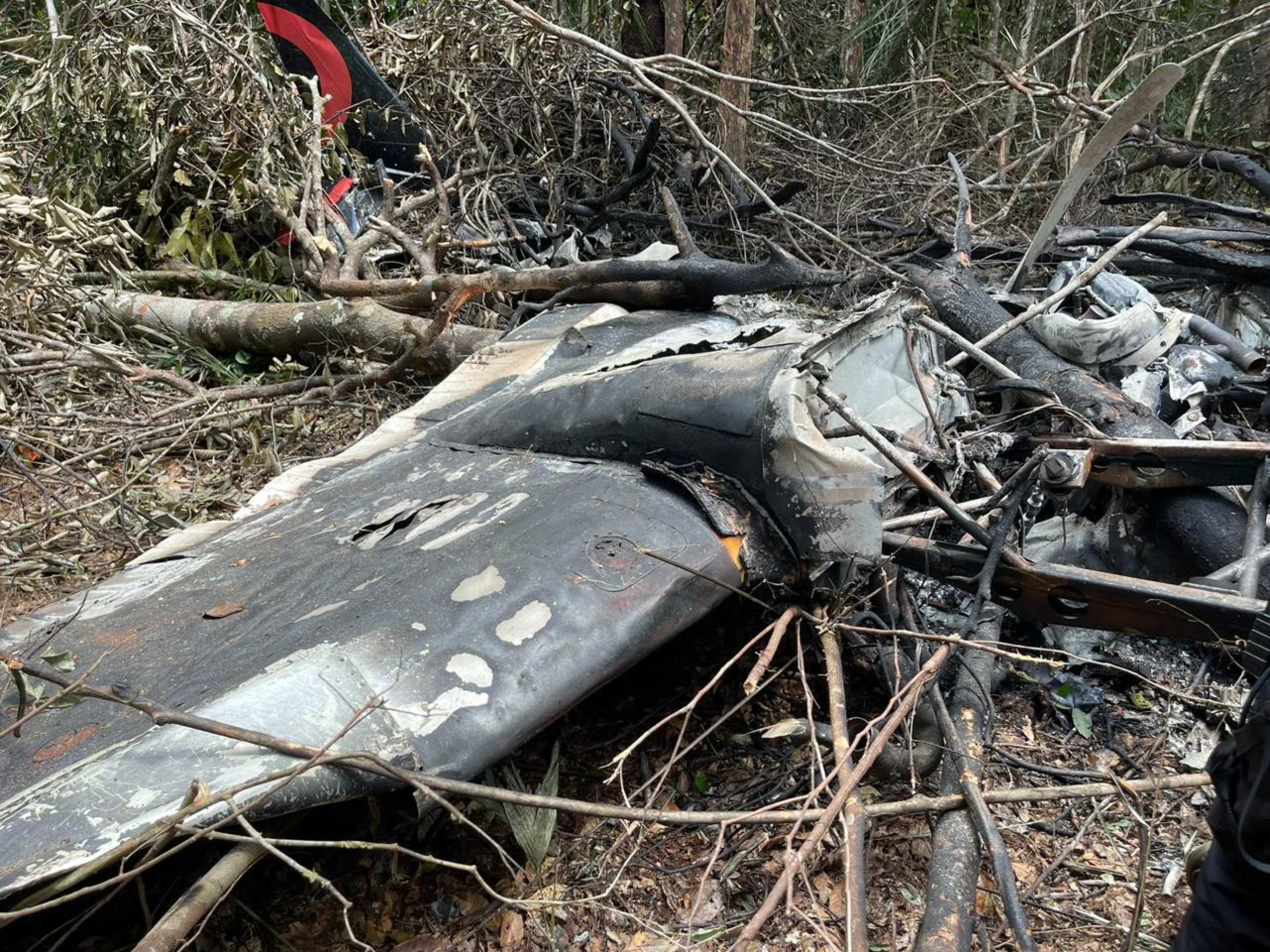 Avião venezuelano que invadiu espaço aéreo brasileiro é abatido pela FAB