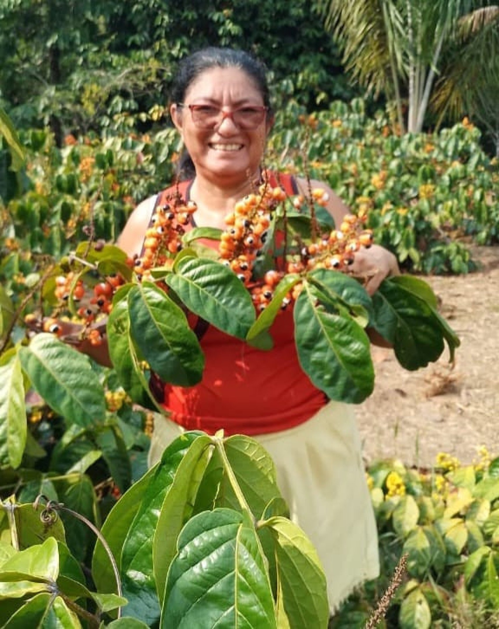 Guardiãs da agrobiodiversidade garantem a variedade alimentar para o futuro