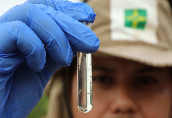       -  (crédito: Paulo H Carvalho/Agência Brasília)