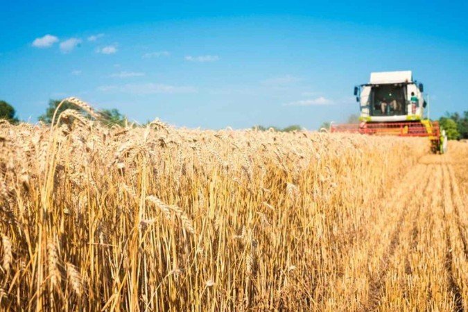 A medida não atinge operações de custeio do Programa Nacional de Fortalecimento da Agricultura Familiar (Pronaf) -  (crédito: Freepik)