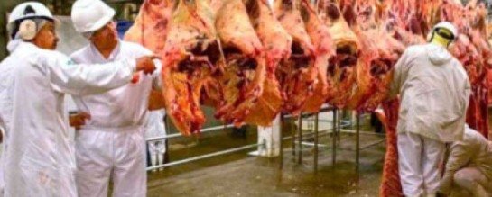 A carne bovina é suscetível a fraudes como a adição de água para aumentar o peso e a substituição de cortes inferiores por cortes mais caros. Essas práticas fraudulentas são impulsionadas pela alta demanda e pelos lucros potencialmente elevados.