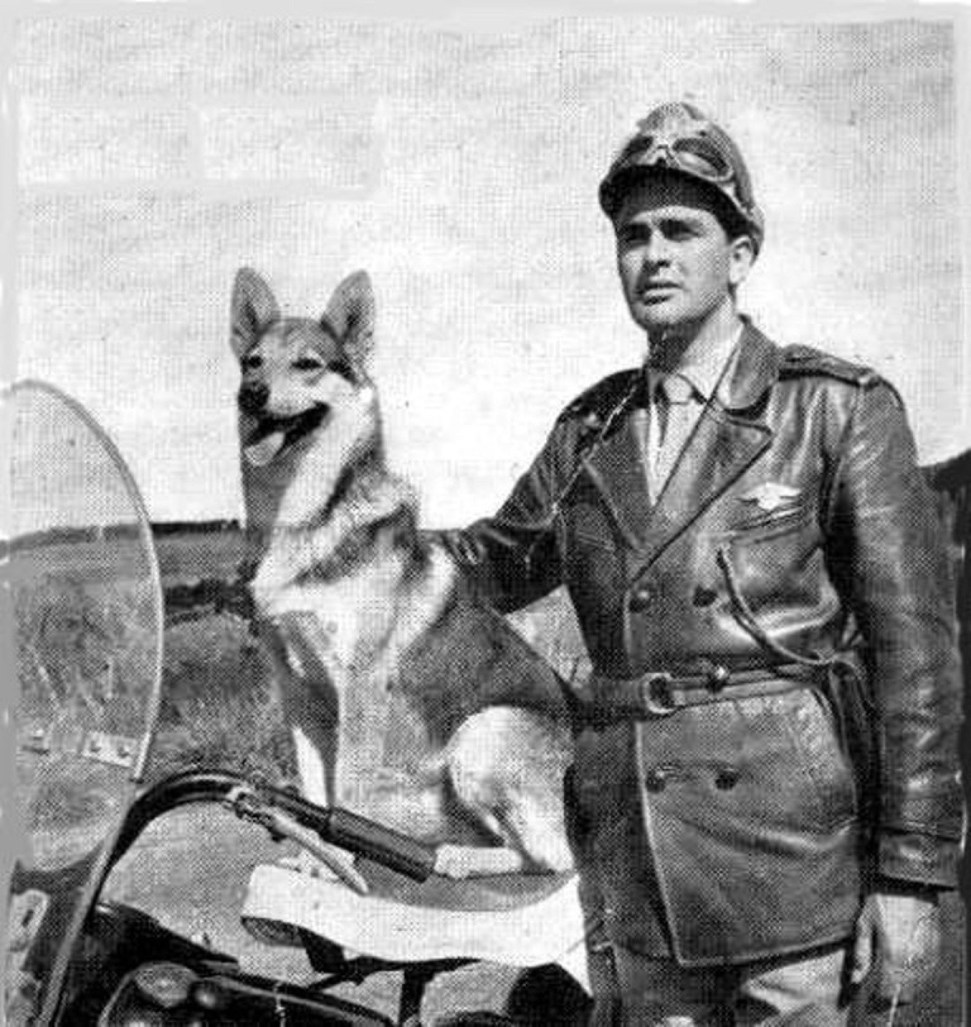 Vigilante rodoviário