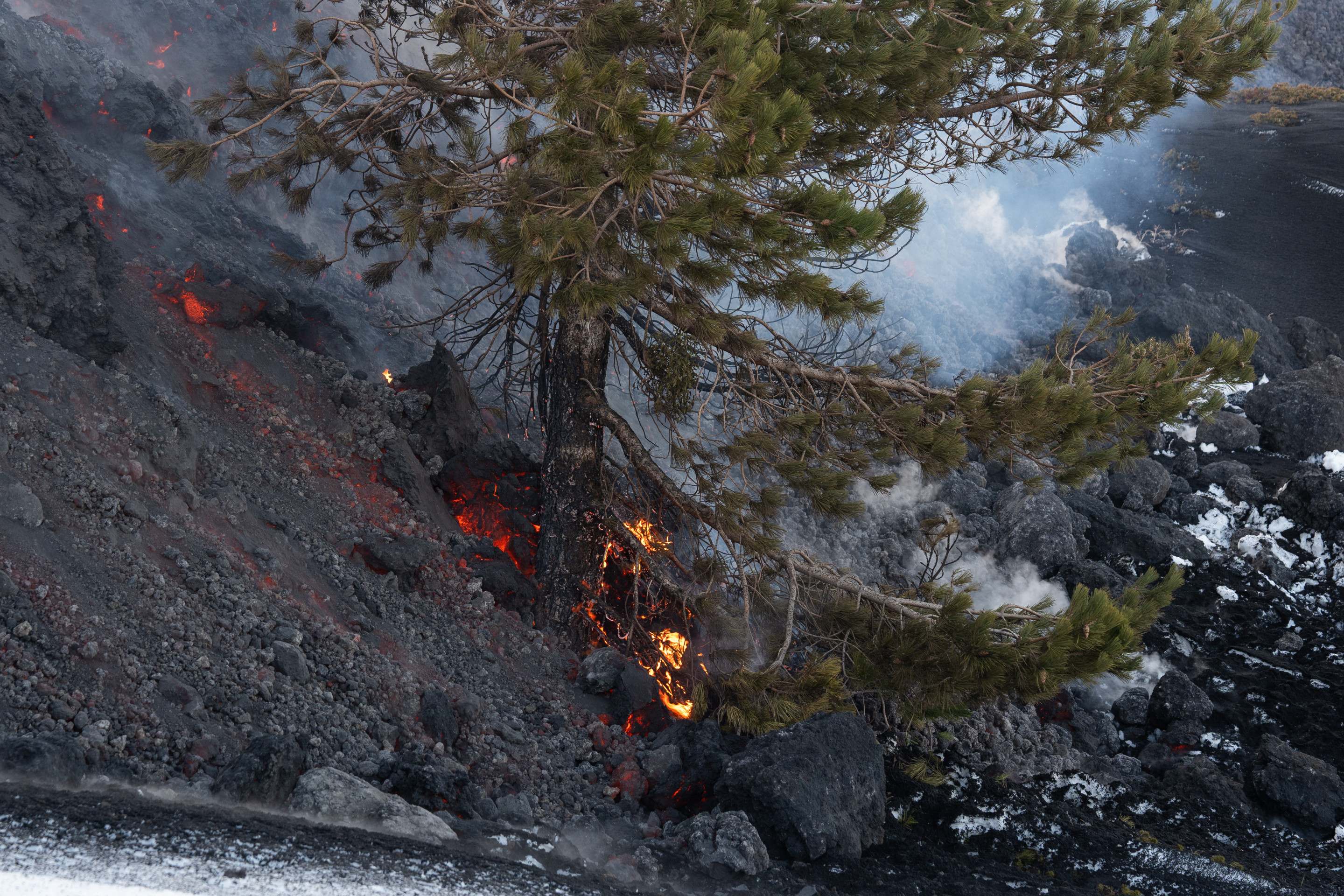 Fluxos de lava de uma fratura no Monte Etna durante uma erupção do vulcão em 14 de fevereiro de 2025                  