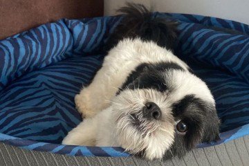 Antes e depois da Meggie 