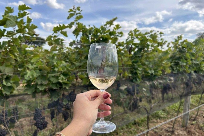 Dia Mundial do Vinho: Brasil brinda enoturismo em alta - (crédito: Uai Turismo) Dia Mundial do Vinho: Brasil brinda enoturismo em alta - (crédito: Uai Turismo)